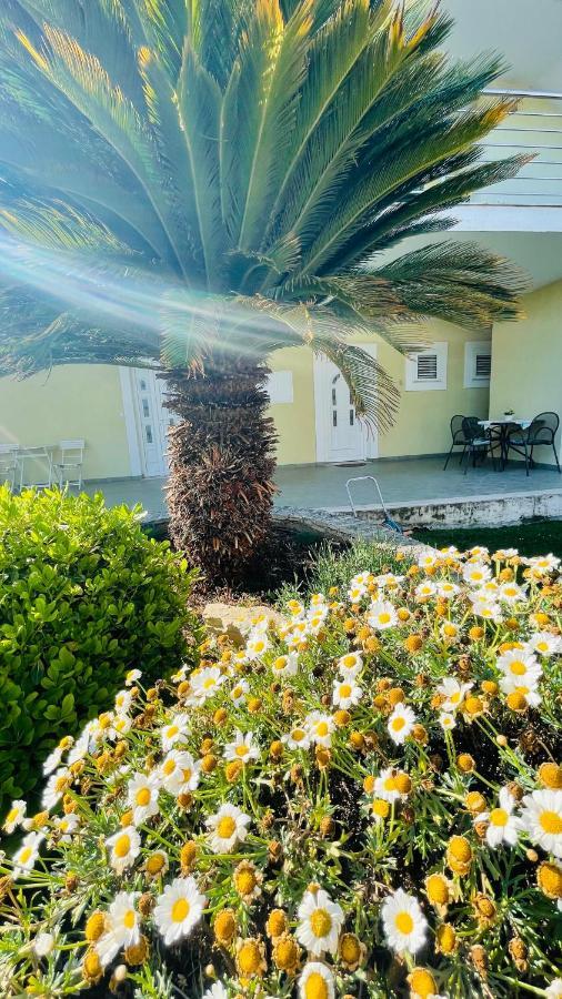 Villa Maestral Zadar Bagian luar foto