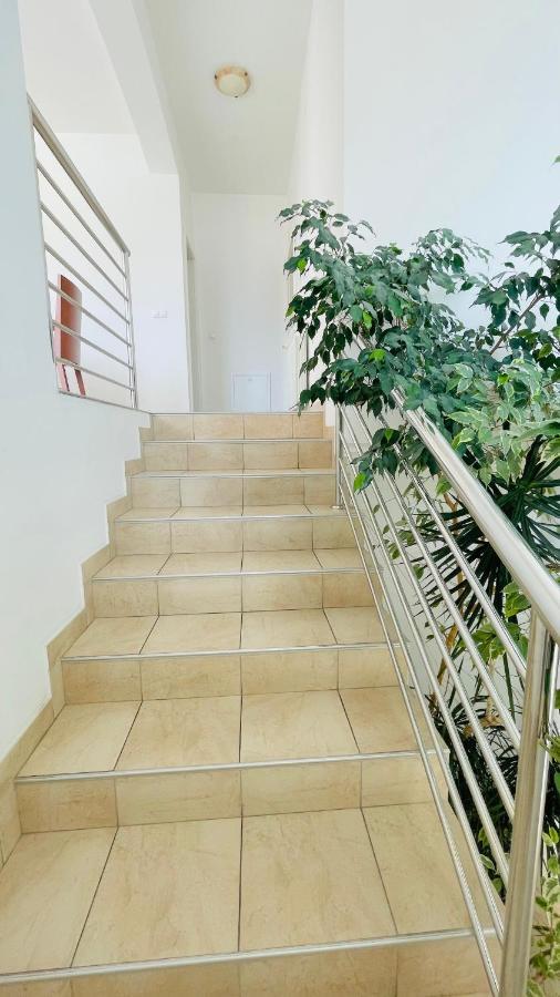 Villa Maestral Zadar Bagian luar foto